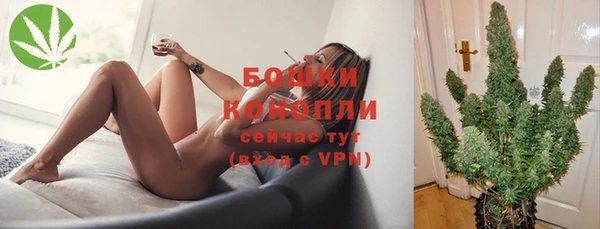стафф Беломорск