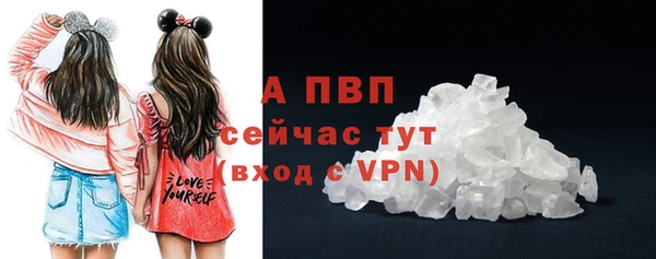 прущие крисы Рославль