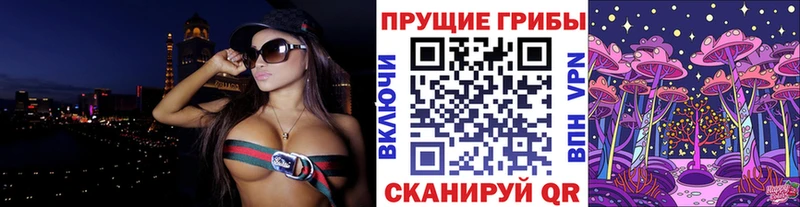 где продают наркотики  Добрянка  Псилоцибиновые грибы мицелий 